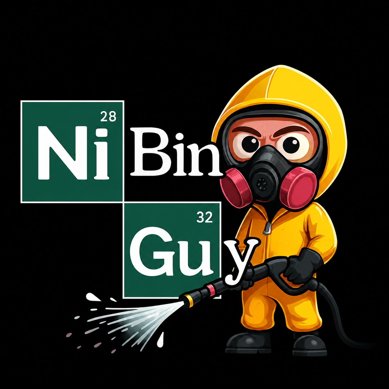 NI Bin Guy logo